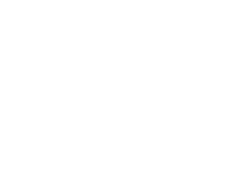 Diving Plus Logo