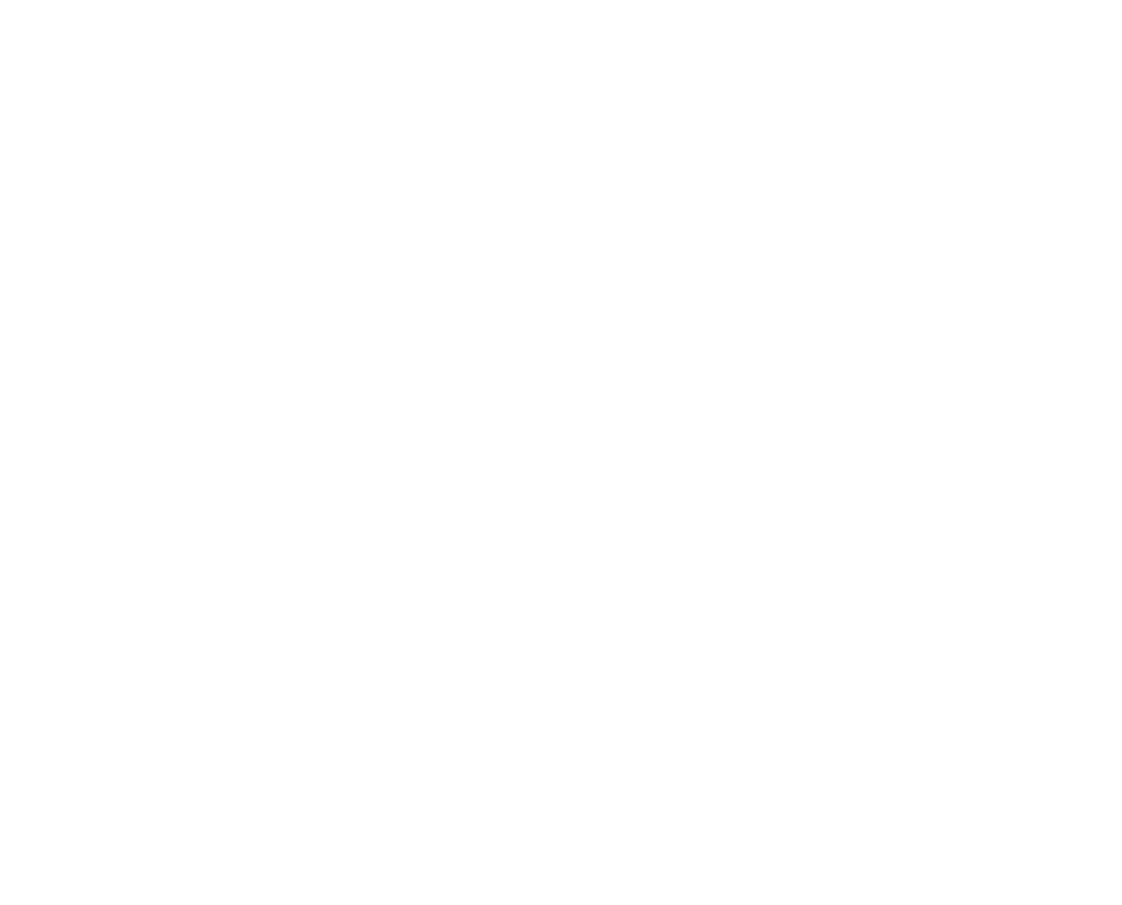 Diving Plus Logo